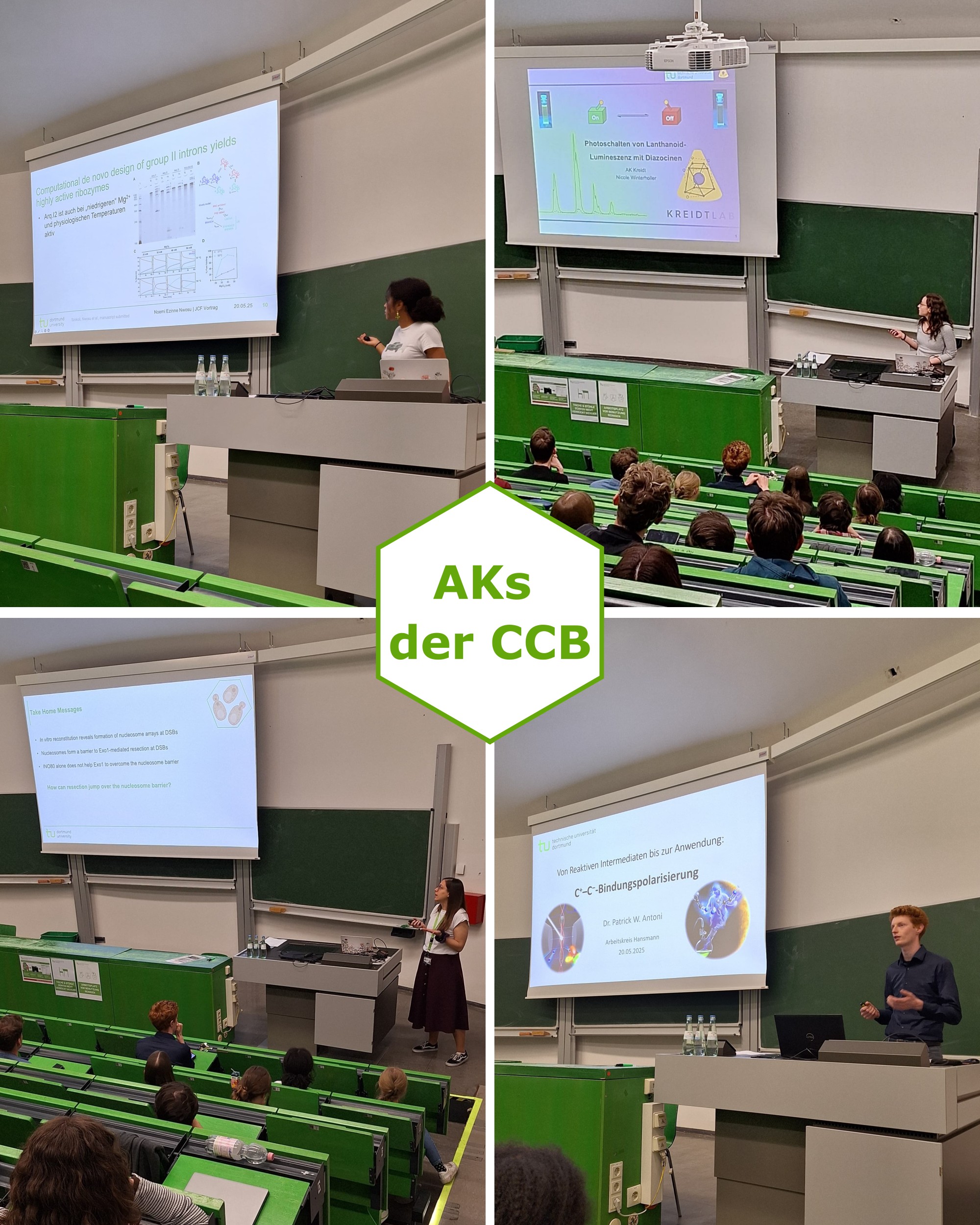 AKS der CCB IV Collage für Website